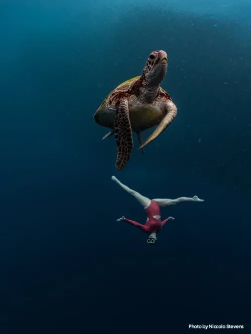Freedive in Moalboal, Cebu