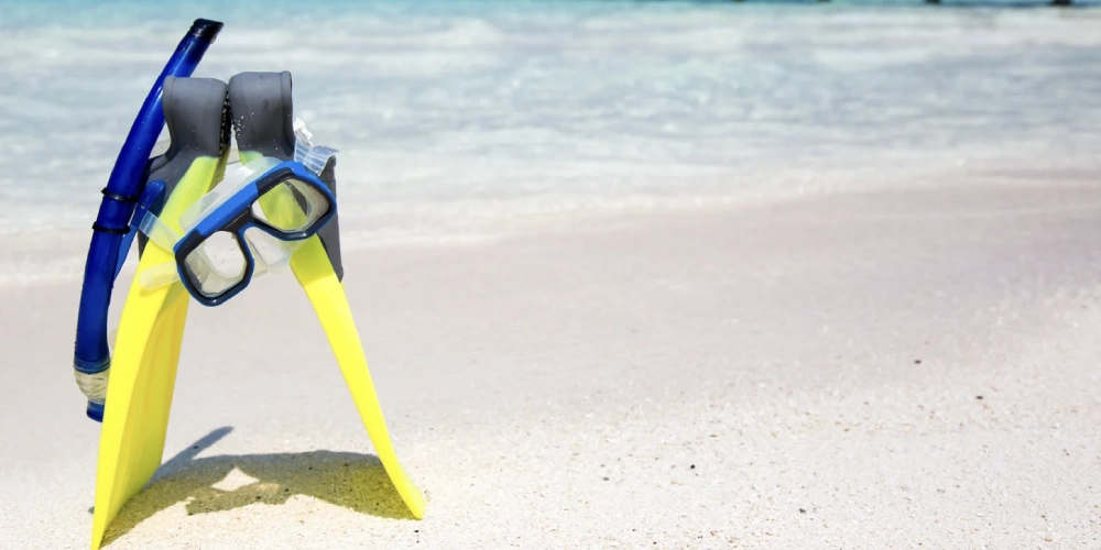 snorkeling gear